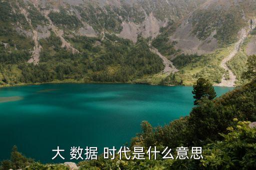 大 數(shù)據(jù) 時(shí)代是什么意思