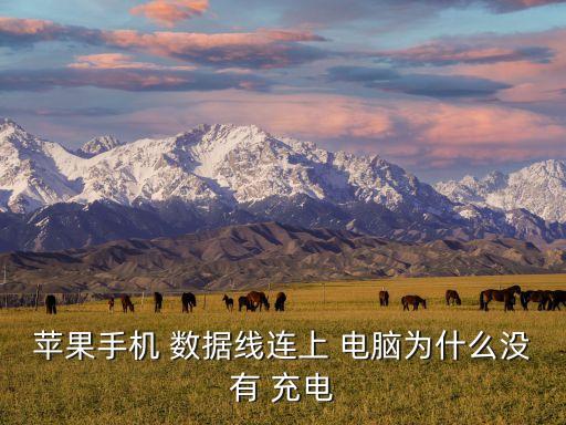 蘋果手機(jī) 數(shù)據(jù)線連上 電腦為什么沒(méi)有 充電