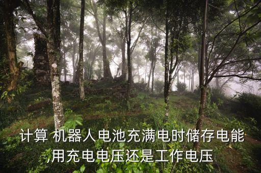  計算 機器人電池充滿電時儲存電能,用充電電壓還是工作電壓