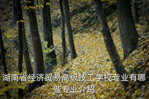 湖南省經(jīng)濟(jì)貿(mào)易高級(jí)技工學(xué)校專業(yè)有哪些專業(yè)介紹
