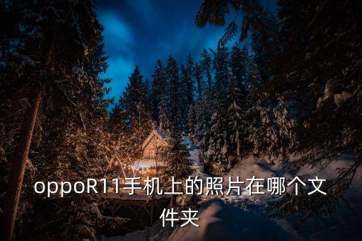 oppoR11手機(jī)上的照片在哪個文件夾