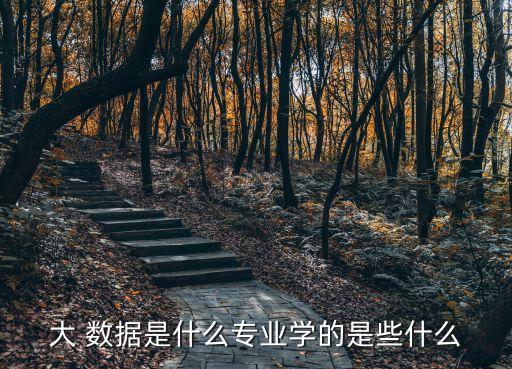 大 數(shù)據(jù)是什么專業(yè)學(xué)的是些什么