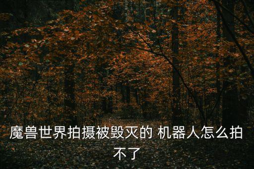魔獸世界拍攝被毀滅的 機(jī)器人怎么拍不了