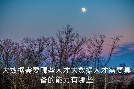 大數(shù)據(jù)需要哪些人才大數(shù)據(jù)人才需要具備的能力有哪些