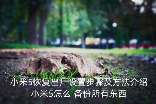 小米手機(jī)5怎么備份數(shù)據(jù)