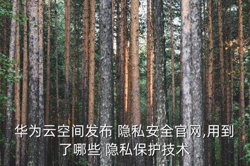 云計算 隱私 數(shù)據(jù),cn107483200a云計算大數(shù)據(jù)隱私的保護(hù)