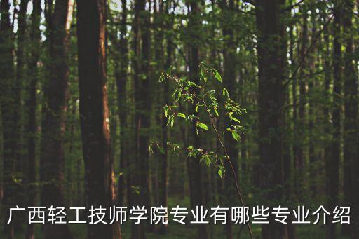 廣西輕工技師學(xué)院專業(yè)有哪些專業(yè)介紹