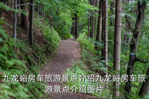 諸城邁赫機(jī)器人地址