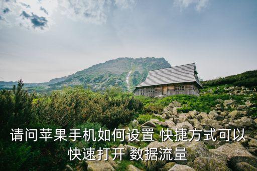 請問蘋果手機(jī)如何設(shè)置 快捷方式可以快速打開 數(shù)據(jù)流量