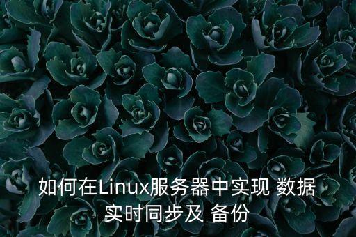 如何在Linux服務器中實現(xiàn) 數據實時同步及 備份