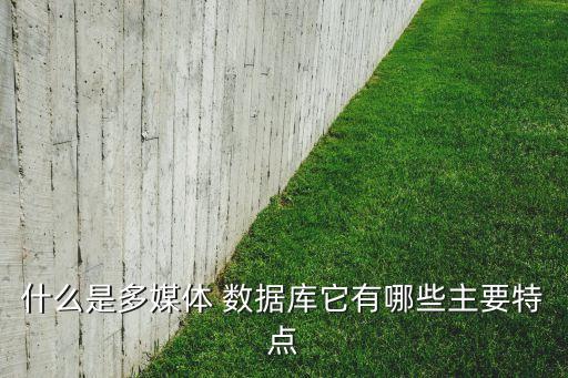 hyper 數(shù)據(jù)庫