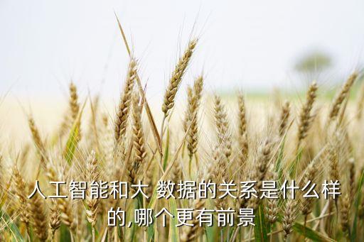  人工智能和大 數(shù)據(jù)的關(guān)系是什么樣的,哪個更有前景