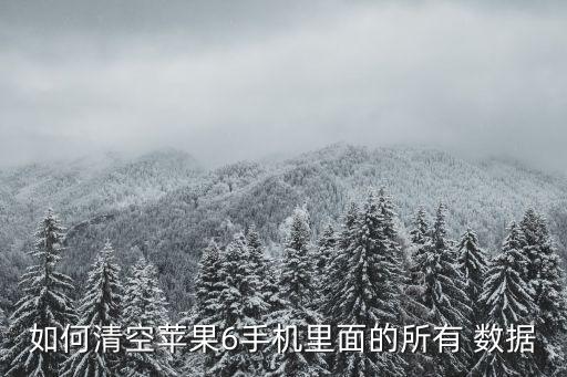 如何清空蘋果6手機(jī)里面的所有 數(shù)據(jù)