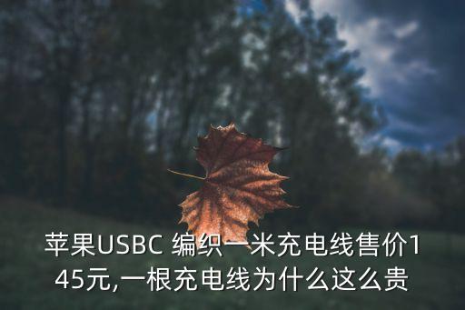 蘋果USBC 編織一米充電線售價145元,一根充電線為什么這么貴