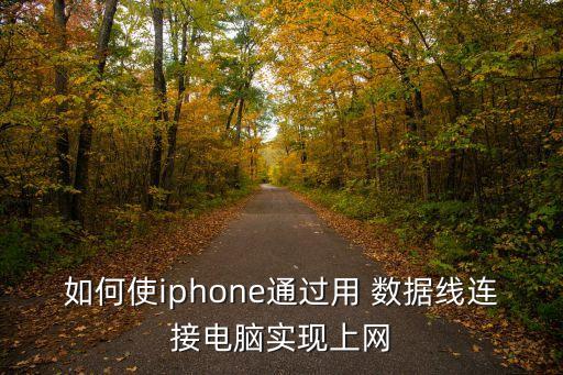 如何使iphone通過(guò)用 數(shù)據(jù)線連接電腦實(shí)現(xiàn)上網(wǎng)