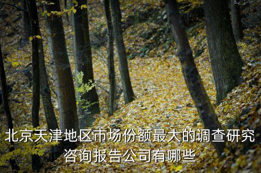 北京天津地區(qū)市場份額最大的調(diào)查研究咨詢報告公司有哪些