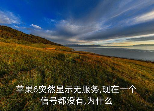 蘋果6不自動(dòng)搜索信號(hào),蘋果手機(jī)自動(dòng)搜索信號(hào)怎么關(guān)閉
