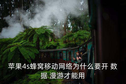 手機開數據漫游才能上網嗎,手機數據漫游不開有影響不