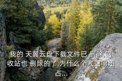 我的 天翼云盤下載文件已 刪除,回收站也 刪除的了,為什么個人空間還占...