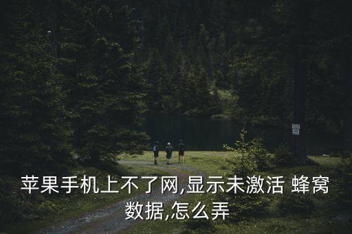 蘋果手機上不了網(wǎng),顯示未激活 蜂窩 數(shù)據(jù),怎么弄
