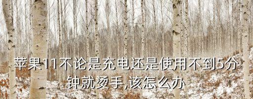 蘋果11不論是充電還是使用不到5分鐘就燙手,該怎么辦