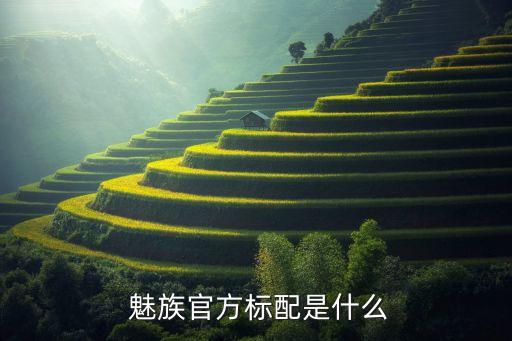  魅族官方標(biāo)配是什么