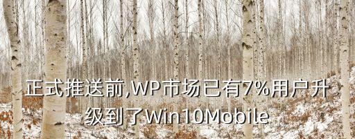 正式推送前,WP市場已有7%用戶升級到了Win10Mobile