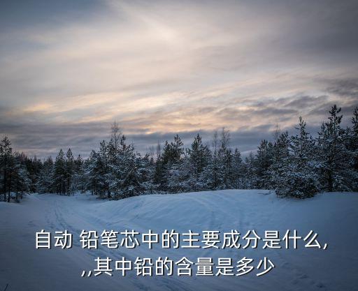 自動鉛筆鉛筆芯