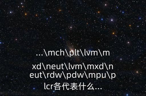 ...\mch\plt\lvm\mxd\neut\lvm\mxd\neut\rdw\pdw\mpu\plcr各代表什么...
