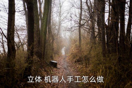 立體 機(jī)器人手工怎么做