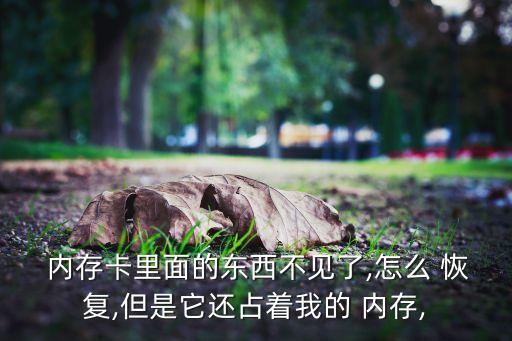  內(nèi)存卡里面的東西不見(jiàn)了,怎么 恢復(fù),但是它還占著我的 內(nèi)存,