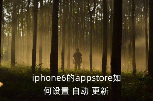 iphone6的appstore如何設置 自動 更新