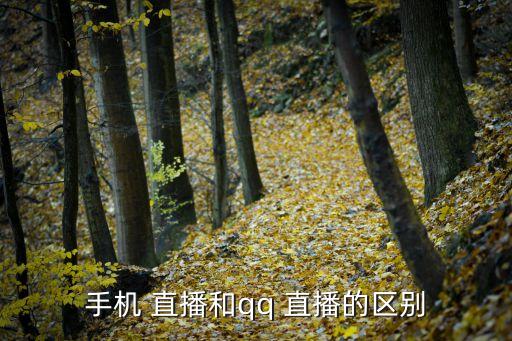 QQ直播數(shù)據(jù)分析