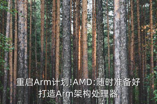 重啟Arm計劃!AMD:隨時準備好打造Arm架構(gòu)處理器