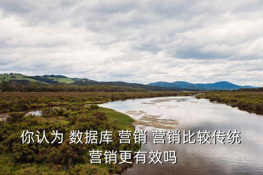 數(shù)據(jù)庫(kù)營(yíng)銷(xiāo)的趨勢(shì),簡(jiǎn)述數(shù)據(jù)庫(kù)營(yíng)銷(xiāo)所具有的功能