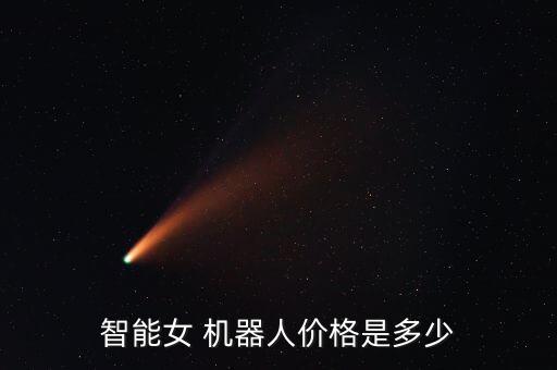 智能女 機(jī)器人價(jià)格是多少