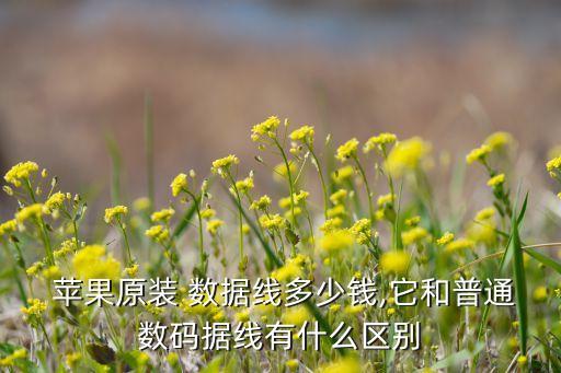 蘋果數(shù)據(jù)線加工下單