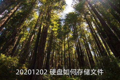 硬盤 數(shù)據(jù)存放,硬盤的數(shù)據(jù)可以存放多少年?