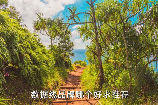 手機數(shù)據(jù)線那個牌子好,蘋果手機數(shù)據(jù)線什么牌子的質(zhì)量好
