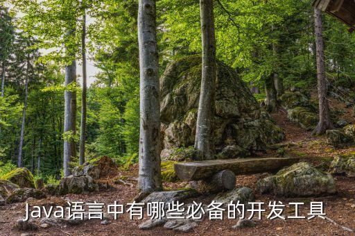 Java語(yǔ)言中有哪些必備的開發(fā)工具