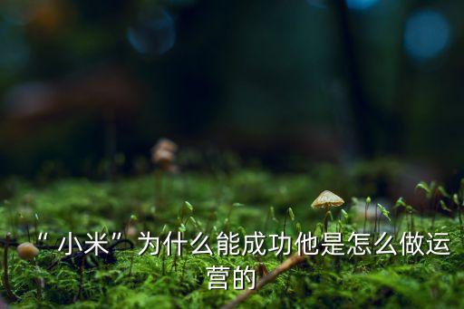 “ 小米”為什么能成功他是怎么做運(yùn)營的
