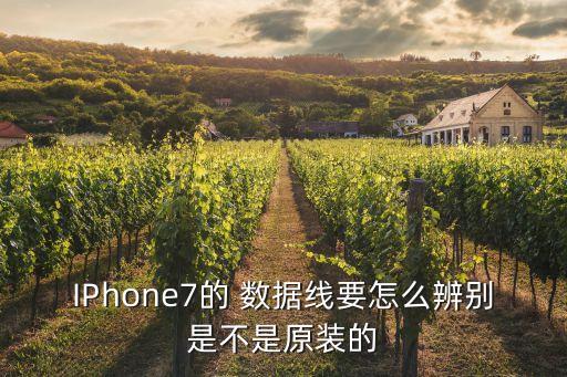 IPhone7的 數(shù)據(jù)線要怎么辨別是不是原裝的
