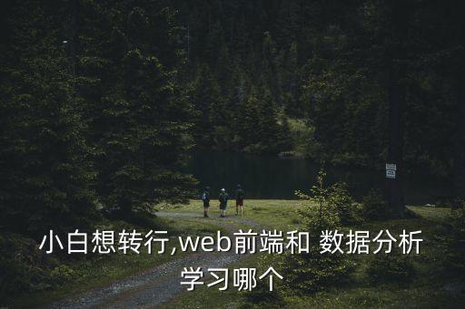 小白想轉(zhuǎn)行,web前端和 數(shù)據(jù)分析學習哪個