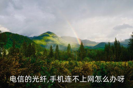  電信的光纖,手機連不上網(wǎng)怎么辦呀
