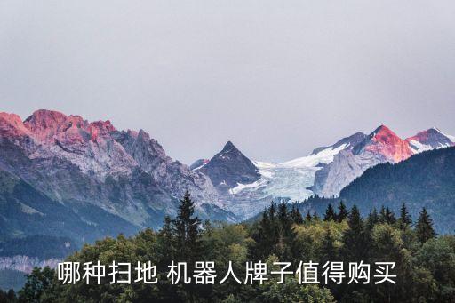 智能機(jī)器人 小白青春版,小白智能機(jī)器人怎么樣連wifi