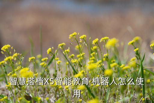 智慧搭檔X5智能教育 機(jī)器人怎么使用
