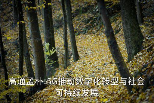 高通孟樸:5G推動(dòng)數(shù)字化轉(zhuǎn)型與社會(huì)可持續(xù)發(fā)展
