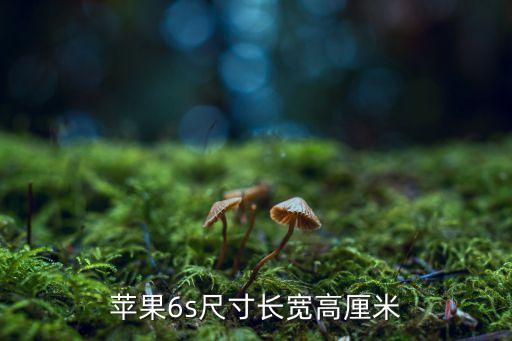 蘋果6s尺寸長寬高厘米