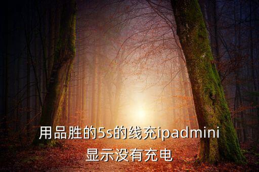 用品勝的5s的線充ipadmini顯示沒有充電