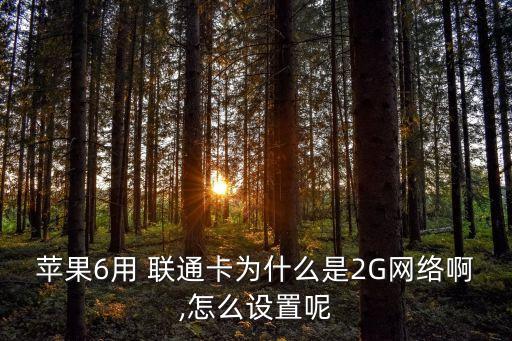 蘋果6用 聯(lián)通卡為什么是2G網(wǎng)絡(luò)啊,怎么設(shè)置呢